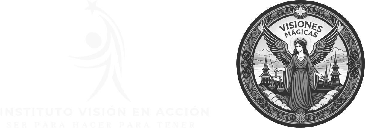 Instituto Visión en Acción